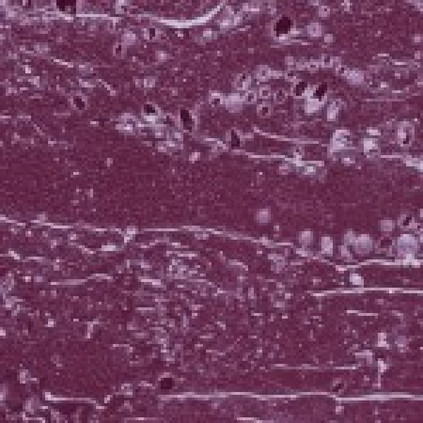Landhaus Pyramiden Aubergine 370/140mm Raureif